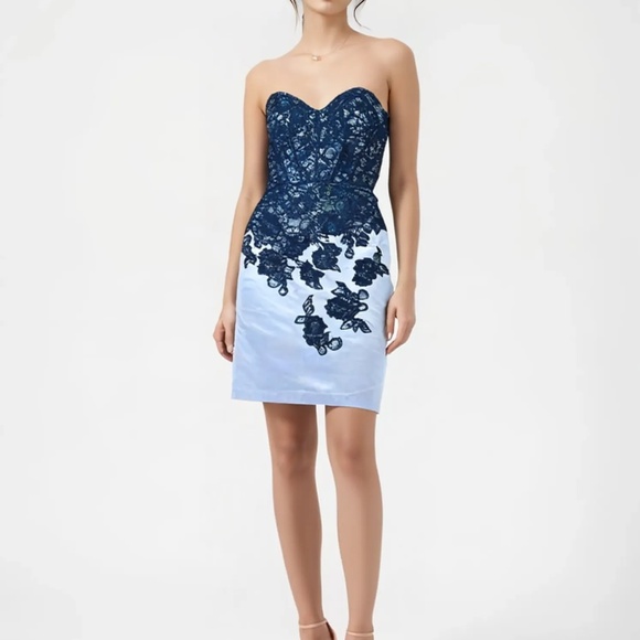 Truly Zac Posen Lace Corset Dress in Black/Mercury Size 6 - Picture 1 of 5